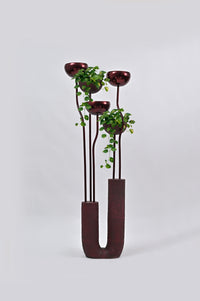 Bloom - White Studios