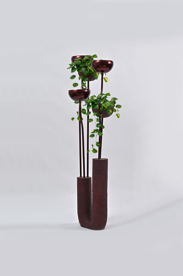 Bloom - White Studios