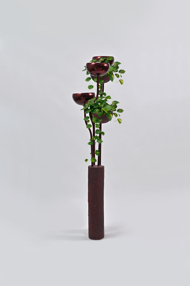 Bloom - White Studios