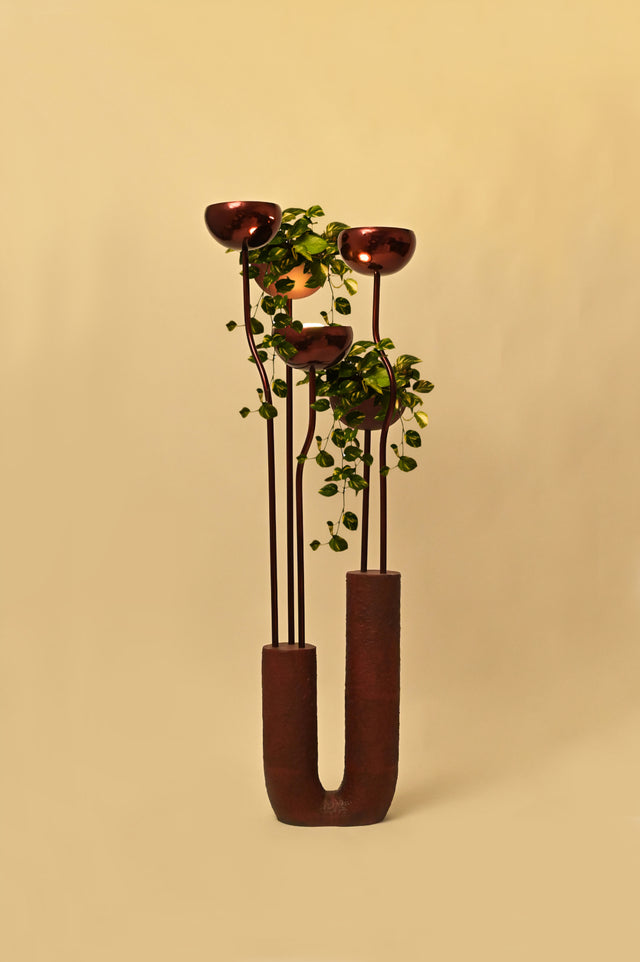 Bloom - White Studios