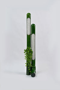 Bamboo - White Studios