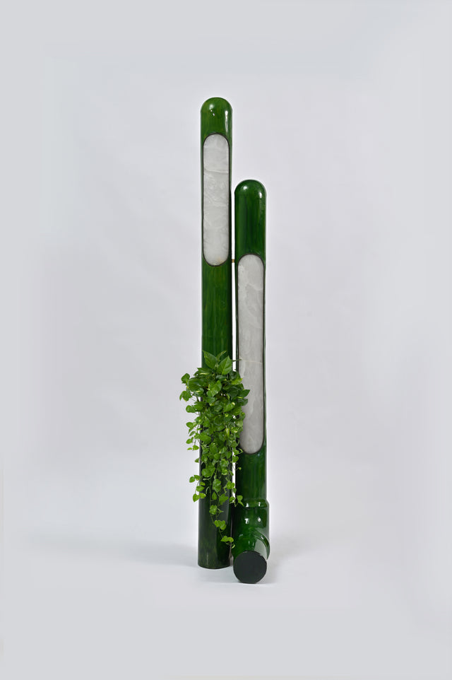 Bamboo