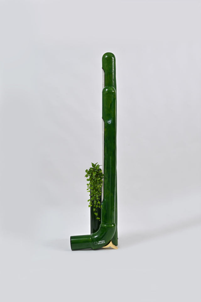 Bamboo