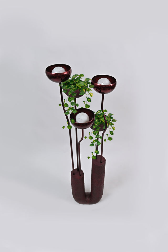 Bloom - White Studios