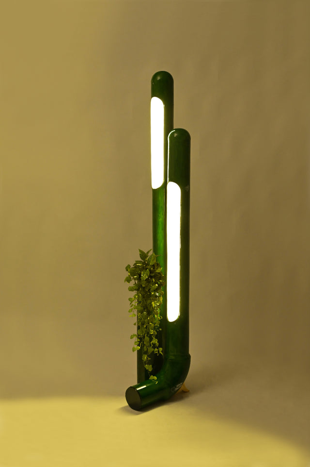 Bamboo